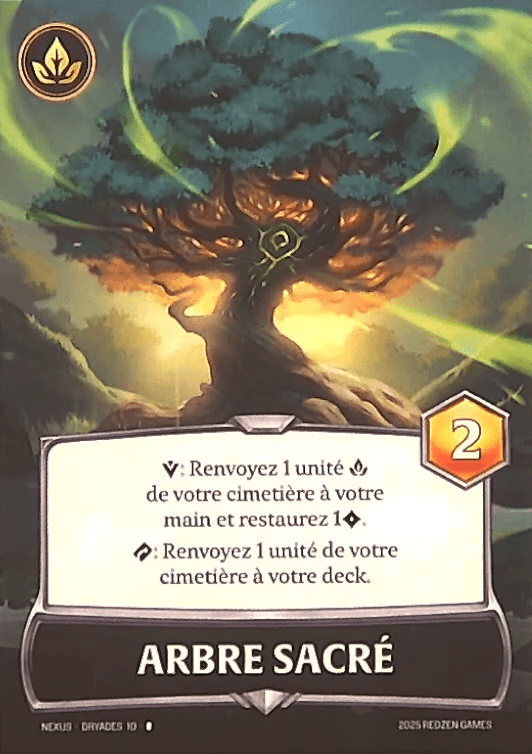 Arbre Sacré
