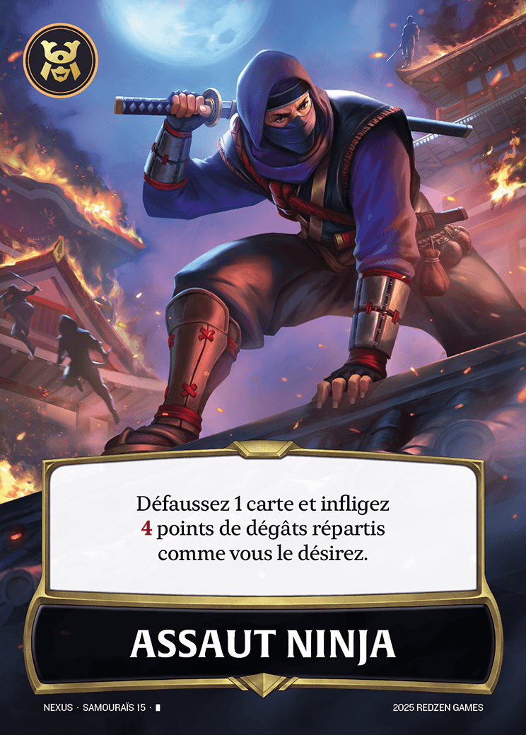 Assaut Ninja